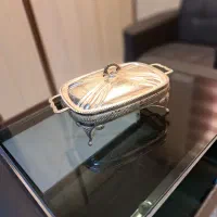 ظرف پذیرایی نقره