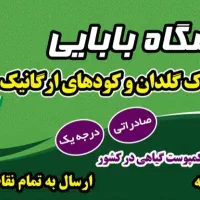 خاک گلدان کمپوست نشا ورمی پرلیت لیکاپون|گل و گیاه طبیعی|همدان, |دیوار