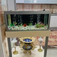 اکواریوم با لوازماش ومیز وماهی