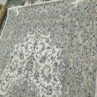 فرش 3.5*2|فرش|یزد, |دیوار