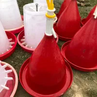 ابخوری و دان خوری مرغ سایز بزرگ|لوازم جانبی حیوانات|احمدسرگوراب, |دیوار