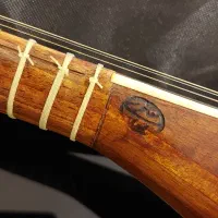 سه تار کار استاد مهدی مفاخری سالم ونو با کیف|سازهای سنتی|تبریز, |دیوار