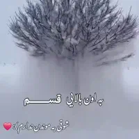 دنبال کار