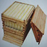 کندوعسل استرالیایی|حیوانات مزرعه|شیراز, گلستان|دیوار
