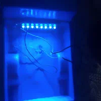 شخصی سازی انواع ماکت را به ما بسپارید|کلکسیون و سرگرمی|فولادشهر, مسکن مهر فولادشهر|دیوار