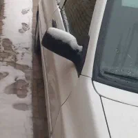 ۱۱۱|خودرو سواری و وانت|مشهد, هفت تیر (نه دره)|دیوار