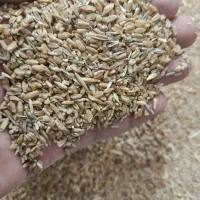 گندم شکسته 2تن. (24500تومن)