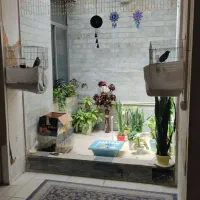 رهن-و-اجاره-خانه-220-متری-تعاون-3