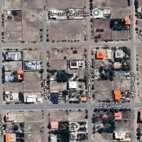 زمین-فاز-10-سند-تک-برگ