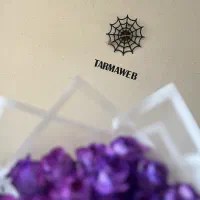 طراحی حرفه‌ای وبسایت (فروشگاهی، شرکتی، شخصی)