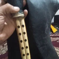 فروش یک عدد پوست و دسته نی انبان کوک|سازهای بادی|برازجان, |دیوار