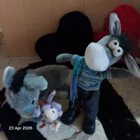 عروسک خاص خانواده الاغی