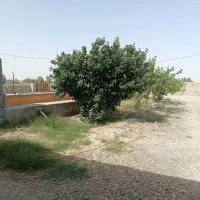 مشارکت در مزرعه پرورش ماهی ومجموعه گردشگری|مشارکت در ساخت املاک|زابل, |دیوار