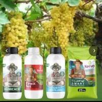 جایگزینی وتصمینی کود شیمیایی و اوره (باردهی بیشتر)