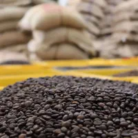ظرفیت خالی تولید قهوه|کافیشاپ و رستوران|تهران, بهار|دیوار