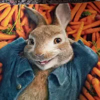 فرش اتاق کودک نو نو|فرش|کرج, ساسانی (قلمستان)|دیوار