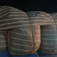 کاه لوبیا چیتی سبز درجه یک تحویل درب دامداری