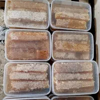 فروش عسل عسل درجه یک|خوردنی و آشامیدنی|شیراز, شهرک سعدی|دیوار