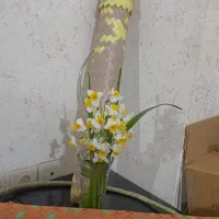 سبد|صنایع دستی و سایر لوازم تزئینی|بندر کنگان, |دیوار