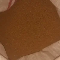 بذر یونجه