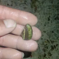 مخصوص فقط سنگ باز