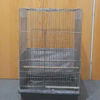 قفس عروس هلندی