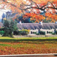 پرده کرکره و پرده طرح منظره پاییزی|پرده، رانر، رومیزی|فولادشهر, A3|دیوار