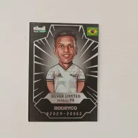 کیمدی سیلور لیمیتد RODRYGO