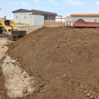 کود گاوی وگوسفندی|خدمات باغبانی و درختکاری|نکا, |دیوار