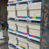 جعبه کندو،طبق،قاب