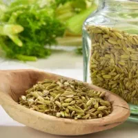دم نوش رازیانه.