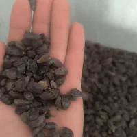 کشمش مویز|عمدهفروشی|ری, ملکآباد|دیوار