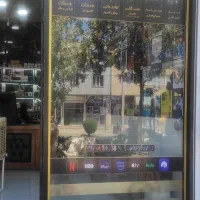استخدام نیروی مسلط به کامپیوتر