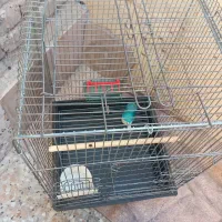 قفس پرنده