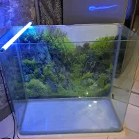 فروش اکواریوم|ماهی|فردیس, شهرک شهید حسینی|دیوار