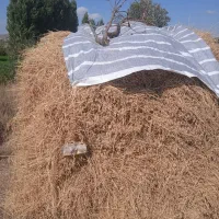 فروش یونجه