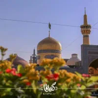 تور مشهد اتوبوسی وریلی کربلا