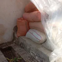 خارپودرشده|حیوانات مزرعه|عطاملک, |دیوار