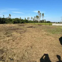 ۳ قطعه زمین سند دار کمربندی تنکابن