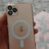 آیفون ۱۱ پرو مگس