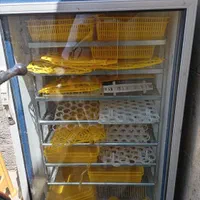 دستگاه جوجه600تایی|لوازم جانبی حیوانات|همدان, |دیوار