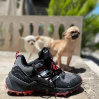 شیواواهای استثنایی