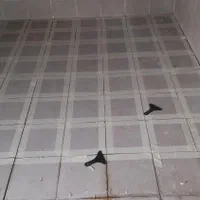 انجام انواع کاشی و سرامیک کف وبدنه پذیرفته میشود|خدمات پیشه و مهارت|بندر امام خمینی, |دیوار