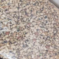 حبوبات|حراج|مشهد, ایثار|دیوار