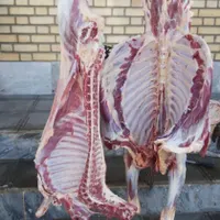 سلاخی گوسفند