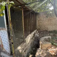 باغچه ۱۰۳۰متری زیبادشت فرخ اباد|فروش خانه و ویلا|محمدشهر, زیبادشت|دیوار