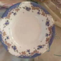 ظروف ملامین