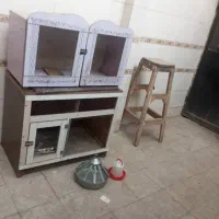 قفس پرنده و مرغ