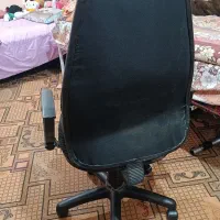 صندلی|مبلمان اداری|بوشهر, |دیوار
