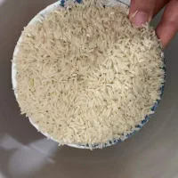 برنج طارم هاشمی امساله